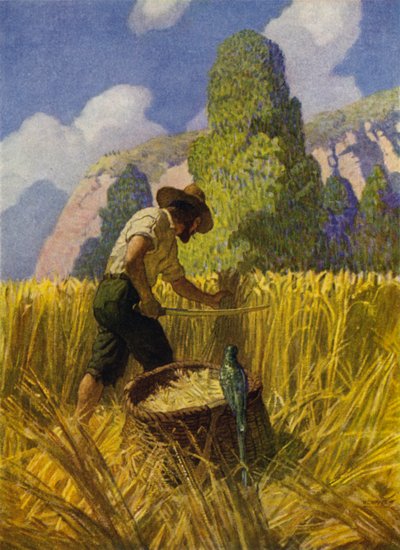 Illustration für Robinson Crusoe von Newell Convers (after) Wyeth