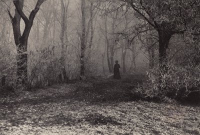 Im Wiener Wald von Nichol Elliot