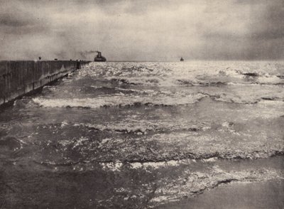 Sommer, Lake Ontario von Nichol Elliot