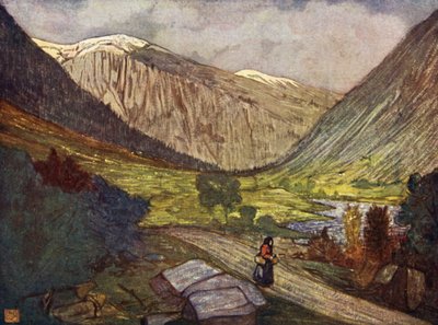 Norwegen: Berge und Fluss bei Gjora von Nico Jungman