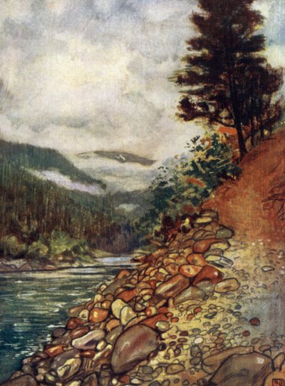 Norwegen: Fluss bei Gjora von Nico Jungman