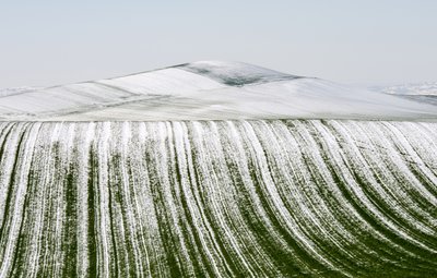 Verschneite Feldmuster von Nicola Figliuolo