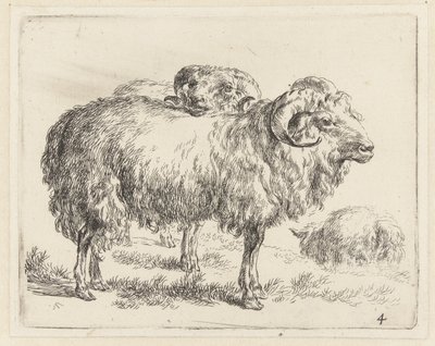 Zwei Widder und ein Schaf Schafe (Serientitel) Animalia ad vivum delineata et aqua forti aeri impressa Studio et Arte Nicolai Berchemi (Serientitel) von Nicolaes Pietersz Berchem