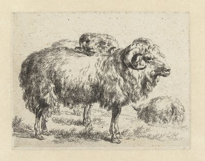 Zwei Widder und ein Schaf von Nicolaes Pietersz Berchem