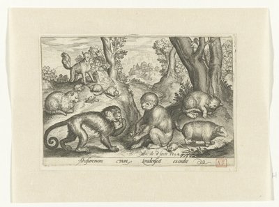 Affen, Katzen und Mäuse von Nicolaes de Bruyn