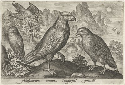 Adler und andere Raubvögel von Nicolaes de Bruyn