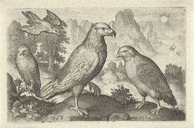Adler und andere Raubvögel von Nicolaes de Bruyn