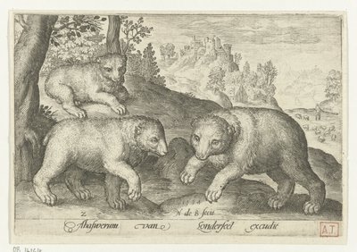 Drei Bären von Nicolaes de Bruyn