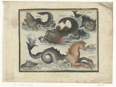 Fantastische Wasserwesen, darunter Seepferdchen von Nicolaes de Bruyn