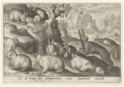 Kaninchen, Eichhörnchen, Meerschweinchen und Maus von Nicolaes de Bruyn