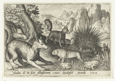 Wildschwein, Füchse, Biber, Stachelschwein und Frösche von Nicolaes de Bruyn