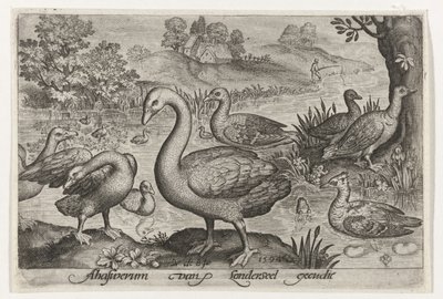 Schwan und Gänse und Enten am Wasser von Nicolaes de Bruyn