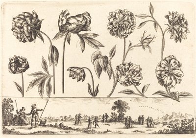 Blumendruck Nr. 7 von Nicolas Cochin after Balthasar Moncornet