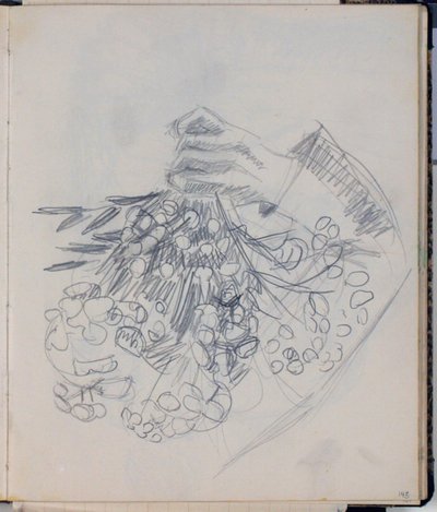 H. C. Andersens rechter Arm. Skizze zu "Die Wiese bei Nysø" (Odense) von Niels Larsen Stevns