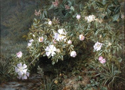 Studie von Hundsrosen, um 1900 von Niels Pieter Rasmussen