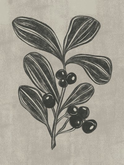 Botanische Beerenzeichnung von Nikita Jariwala
