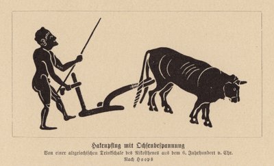 Antiker griechischer Ochsenpflug von Nikosthenes