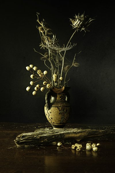 Erdiges Botanisches Stillleben von Noam Mymon