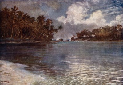 Am Riff und an der Palme von Norman Hardy