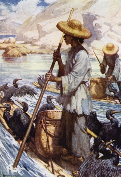 China: Fischen mit Kormoranen von Norman Hardy