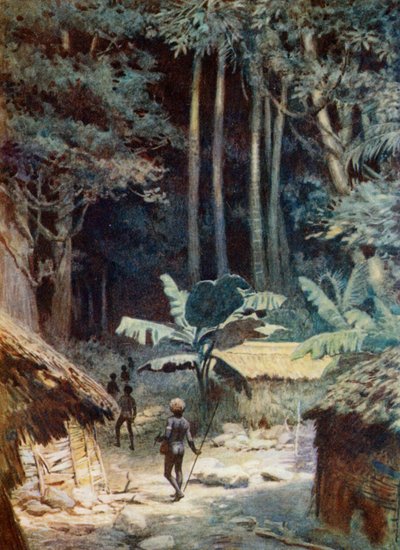 In den Tiefen eines melanesischen Waldes, 1908 von Norman Hardy