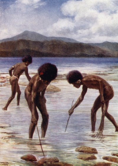 Suche nach kleinen Oktopussen am Riff bei Ebbe, Samari, Britisch-Neuguinea (Farblithografie) von Norman Hardy