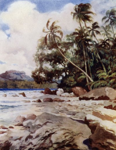 Das Riff bei Simbo, Salomonen von Norman Hardy