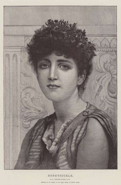 Geißblatt von Norman Prescott Davies