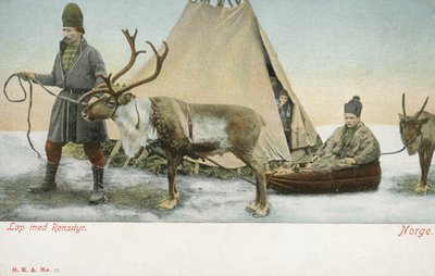 Lappen mit Rentieren, Norwegen von Norwegian Photographer