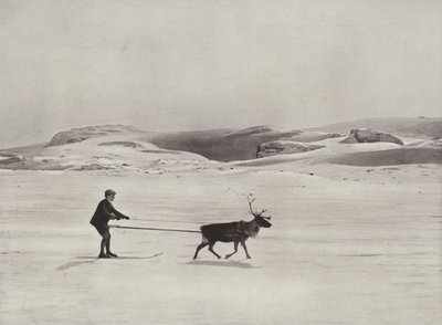 Skifahren mit Rentieren in den Bergen von Norwegian Photographer