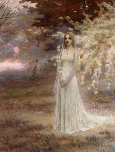 Nebliger Morgen von Numa Francois Gillet