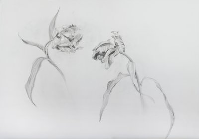 Estella rijnveld 3, 2017 von Odile Kidd