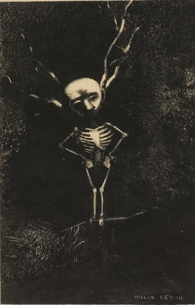 Im Labyrinth der Äste erschien die bleiche Gestalt, Platte 2 von 7 von Odilon Redon