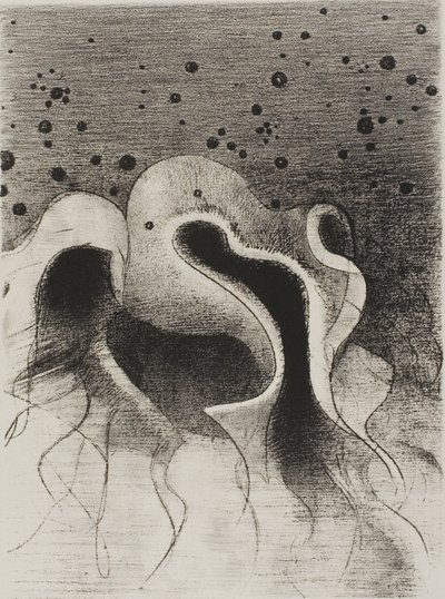 Die Tiere des Meeres, rund wie Lederflaschen, Platte 22 von 24 von Odilon Redon