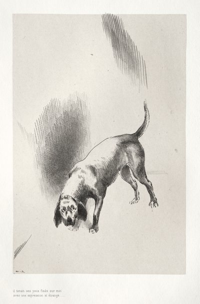Das Spukhaus: Er hielt seine Augen mit einem so seltsamen Blick auf mich gerichtet, 1896 von Odilon Redon
