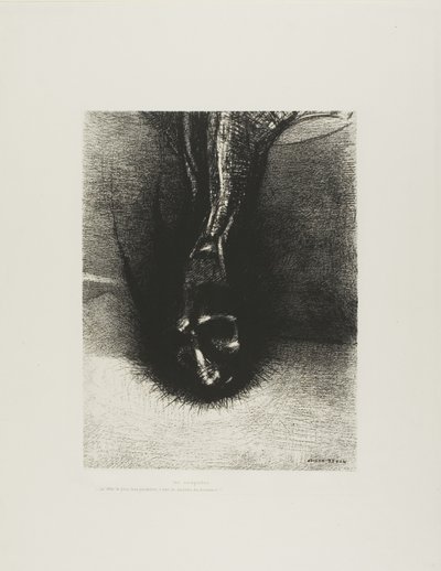 Die Skiapoden: "Der Kopf so tief wie möglich, das ist das Geheimnis des Glücks!", Platte 6 von 6 von Odilon Redon