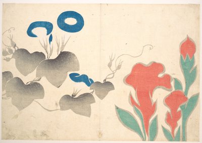 Entwurf von Prunkwinde und anderen Blumen von Ogata Korin