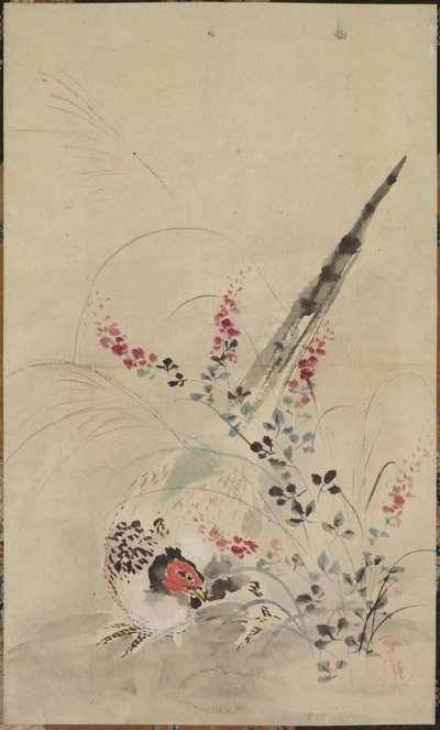 Fasan und Gräser von Ogata Korin