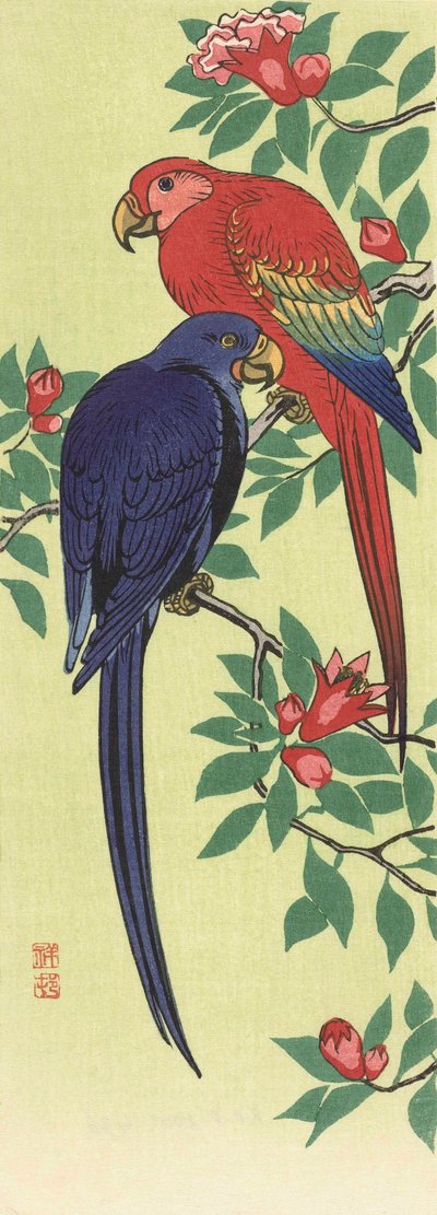 Ein roter und ein blauer Papagei, von dem japanischen Künstler Ohara Koson von Ohara Koson