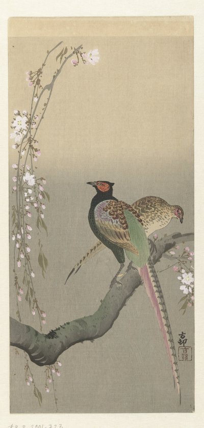 Paar Fasane und Kirschblüten von Ohara Koson