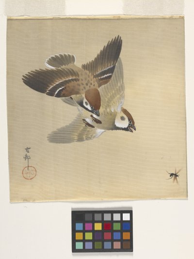 Spatzen jagen fliegende Insekten von Ohara Koson