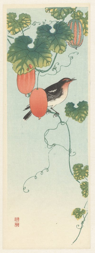 Singvogel in Gurkenpflanze von Ohara Koson