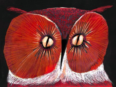 Intensive Rote Eule von Olga Skomorokhova