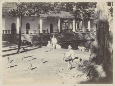 Indische Männer mit Äffchen auf einem Hof an einem Wasser, möglicherweise in Surabaya von Onnes Kurkdjian