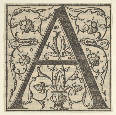 Initialbuchstabe A mit Girlanden von Oronce Fine