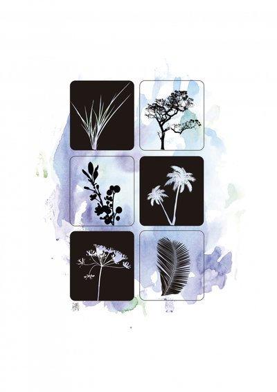 Botanische Silhouetten in Aquarell von Osvaldo Russo
