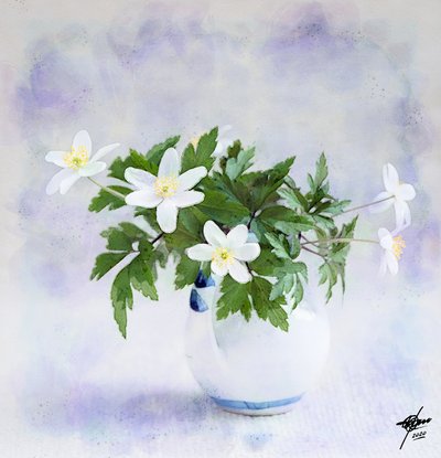 Zarte Weiße Frühlingsblumen von Osvaldo Russo