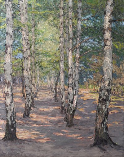 Birkenweg auf dem Heller bei Dresden von Otto Altenkirch
