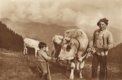 Auf der Alm von Otto Ballerstedt