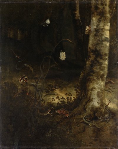 Waldboden mit einer Schlange, Eidechsen, Schmetterlingen und anderen Insekten von Otto Marseus  van Schrieck